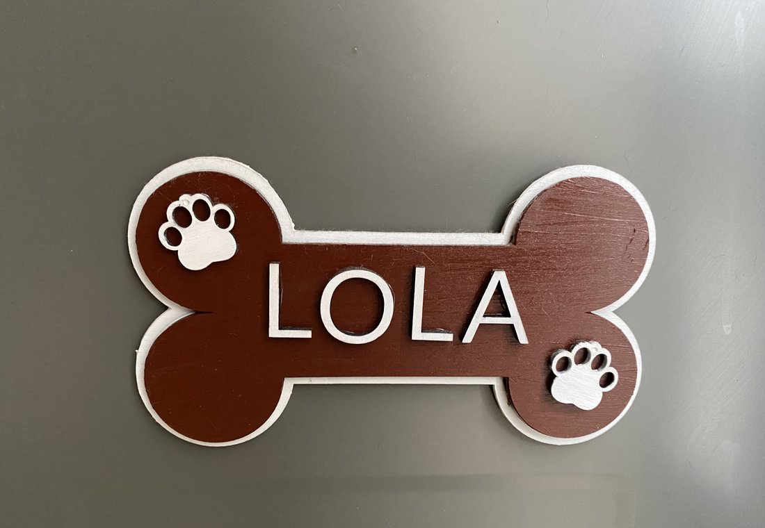 Placa para el collar